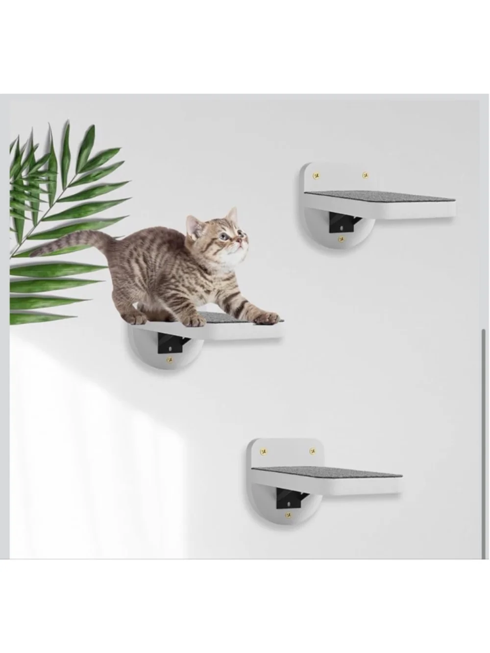 NEW Set of 3 Wood Cat Steps for Wall Mounted Cat Shelves Perch Holds 30 lbs